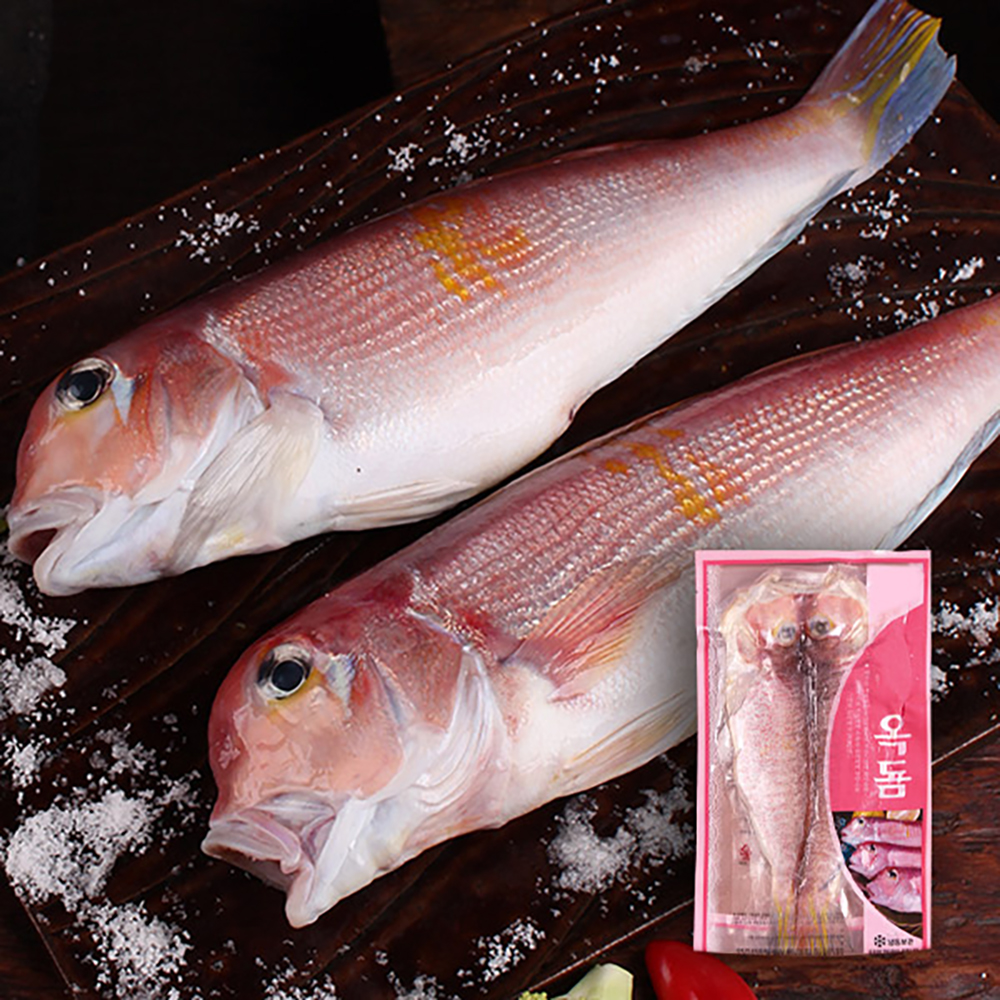 1763345838 thumbnail