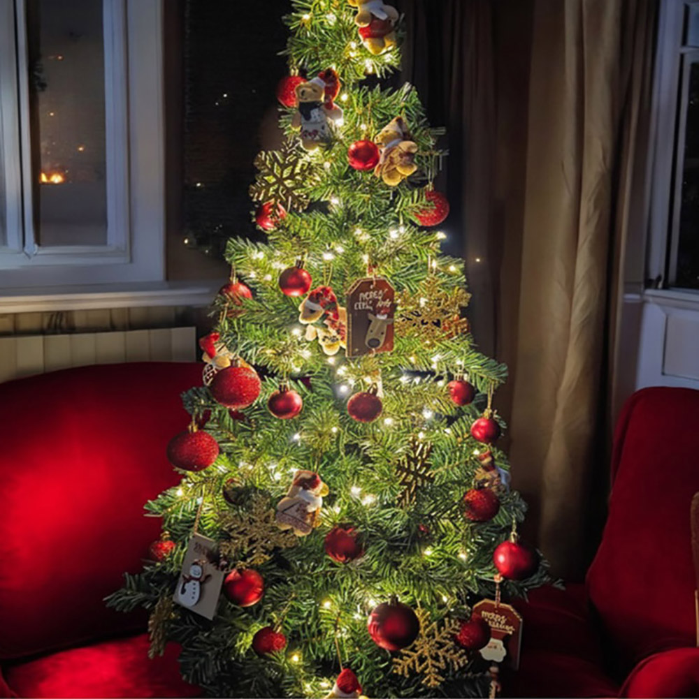 1763367895 thumbnail