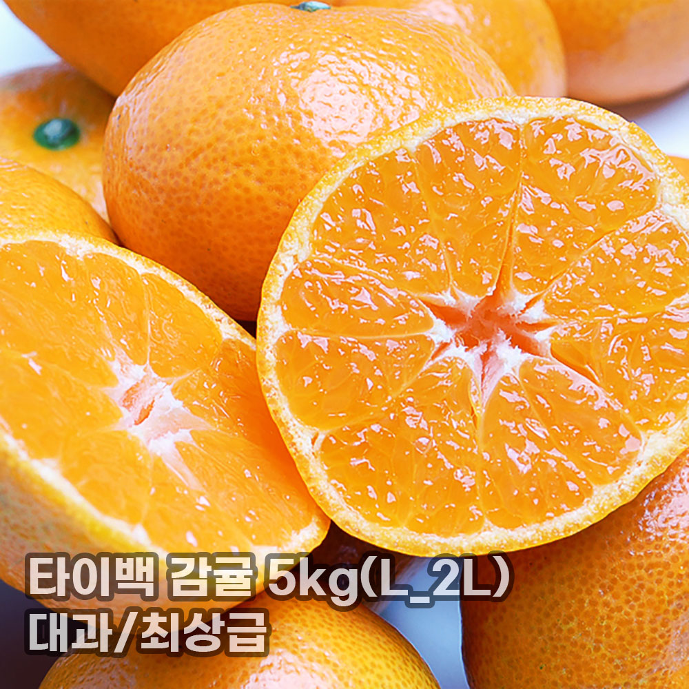 1763367920 thumbnail