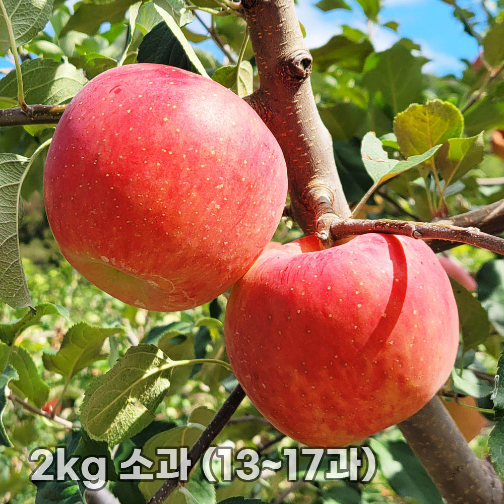 1763452430 thumbnail