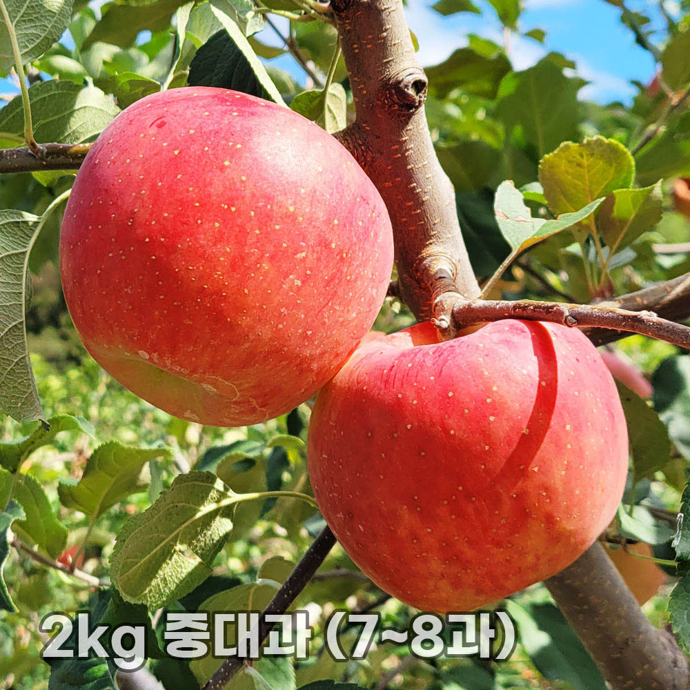 1763452433 thumbnail