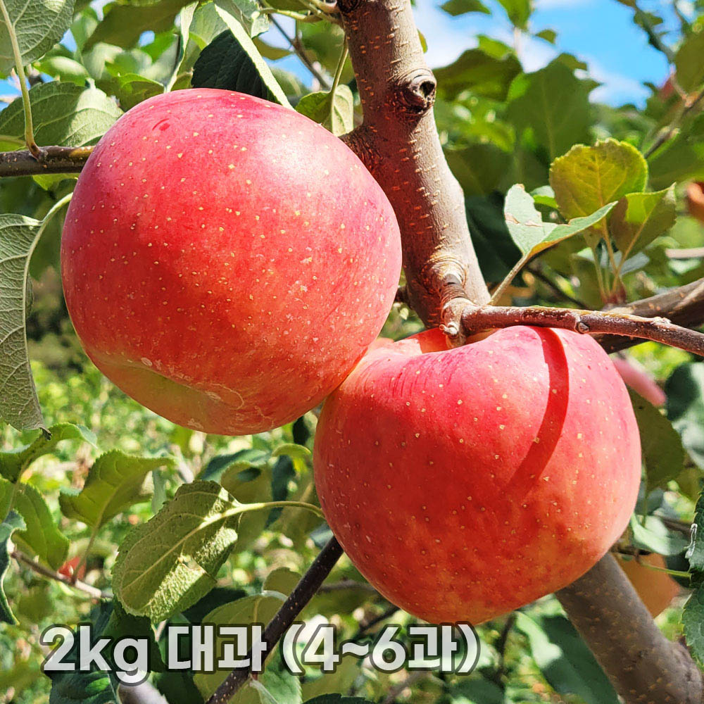 1763452434 thumbnail