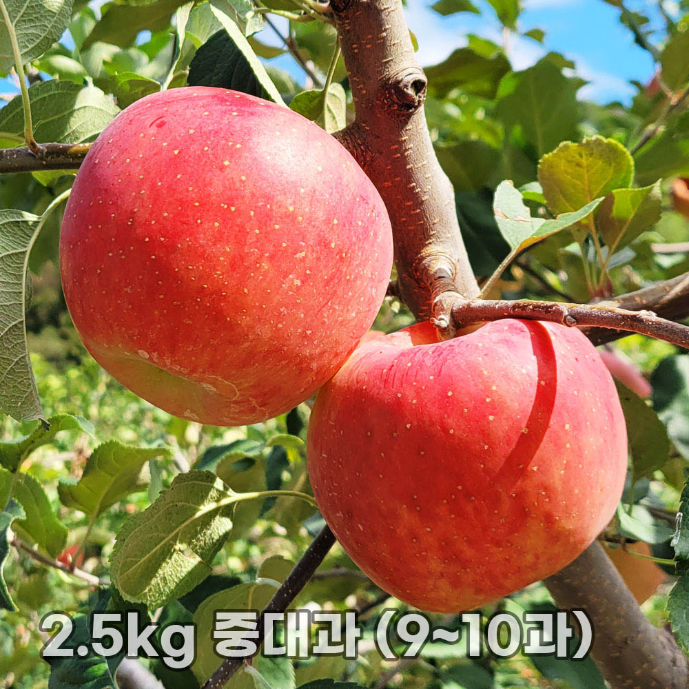 1763452438 thumbnail