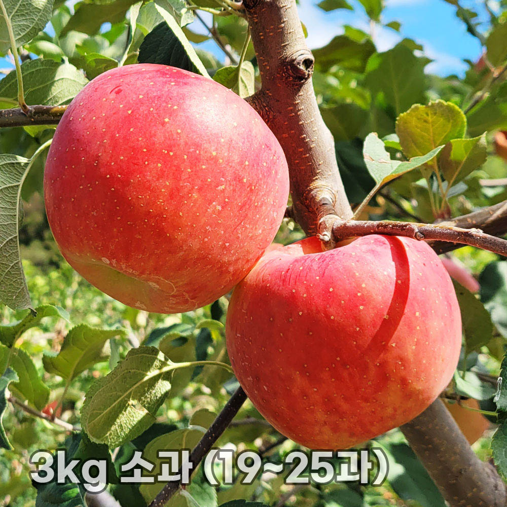 1763452440 thumbnail