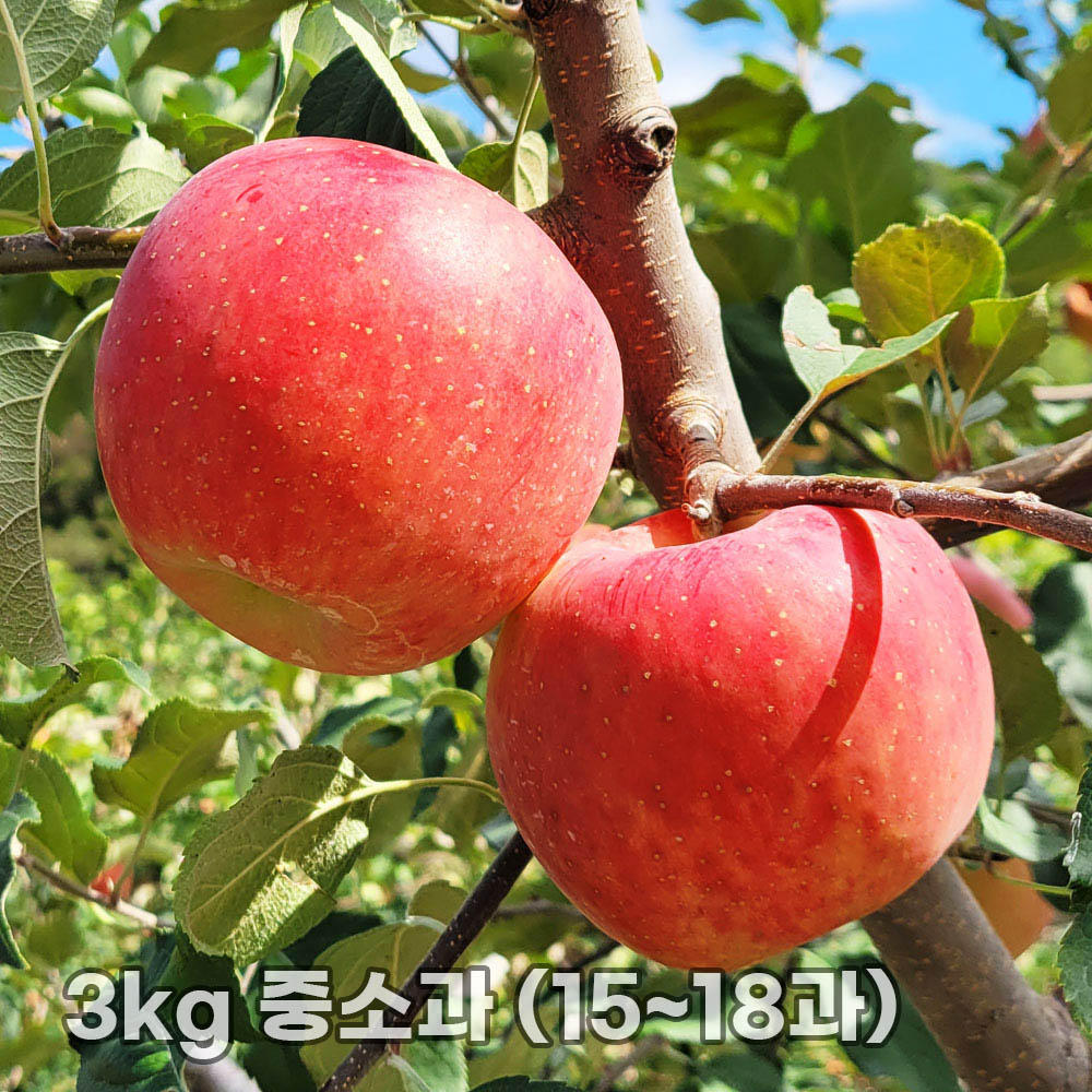 1763452441 thumbnail