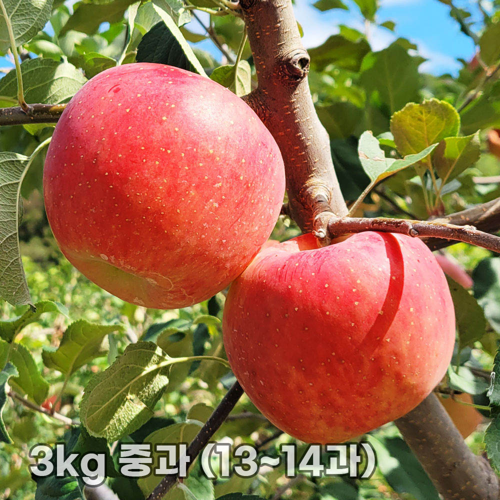 1763452442 thumbnail