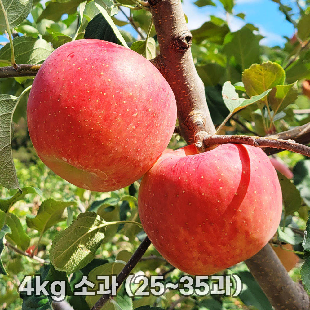 1763452445 thumbnail