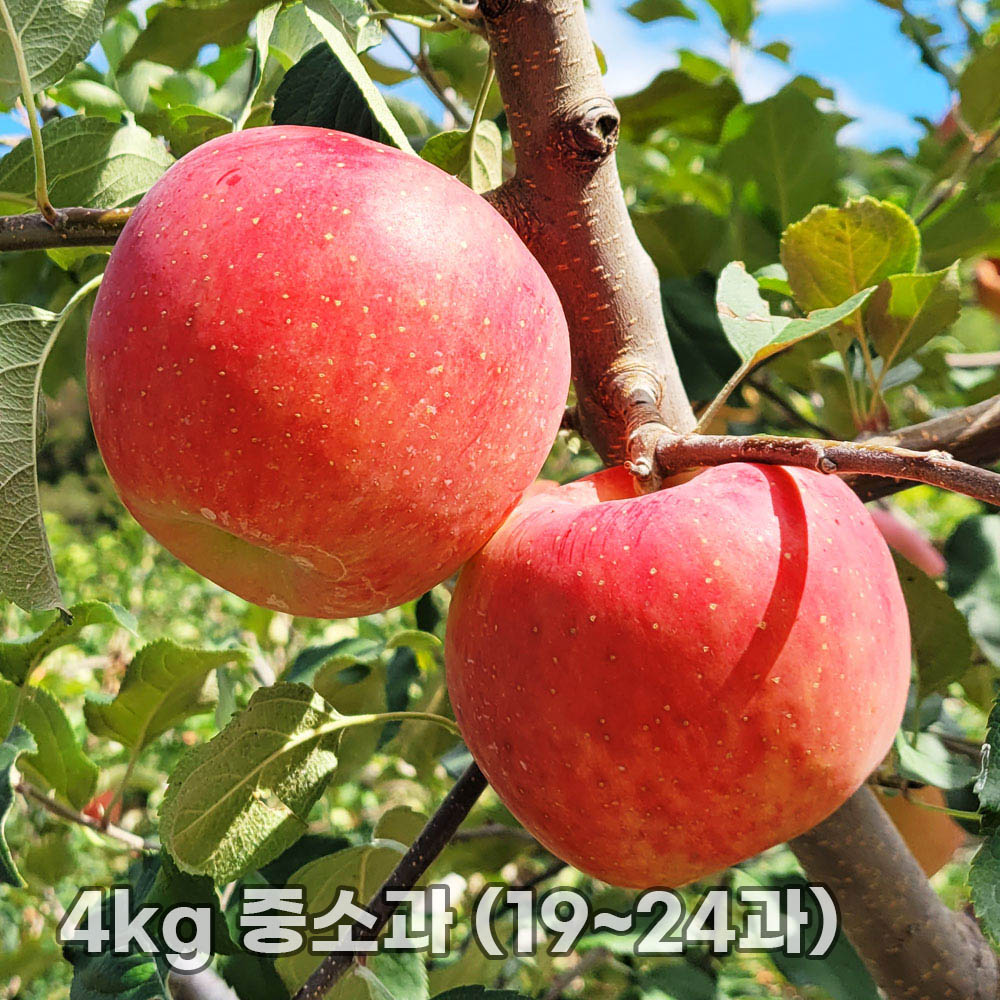 1763452446 thumbnail