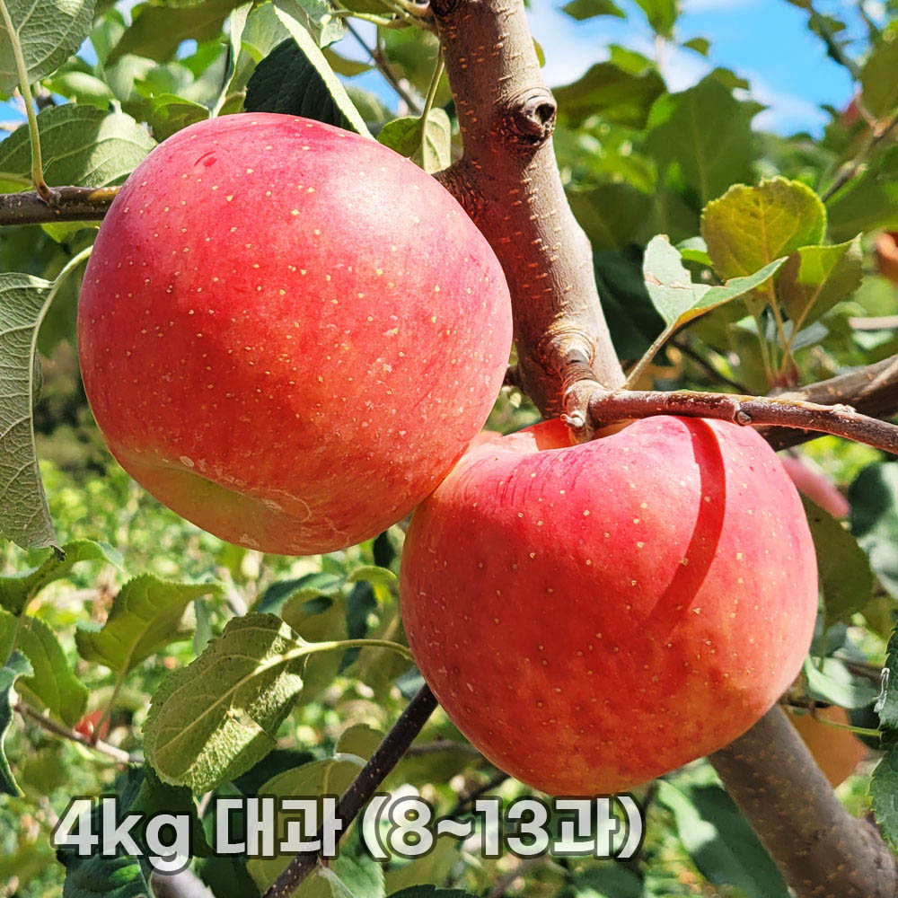 1763452449 thumbnail