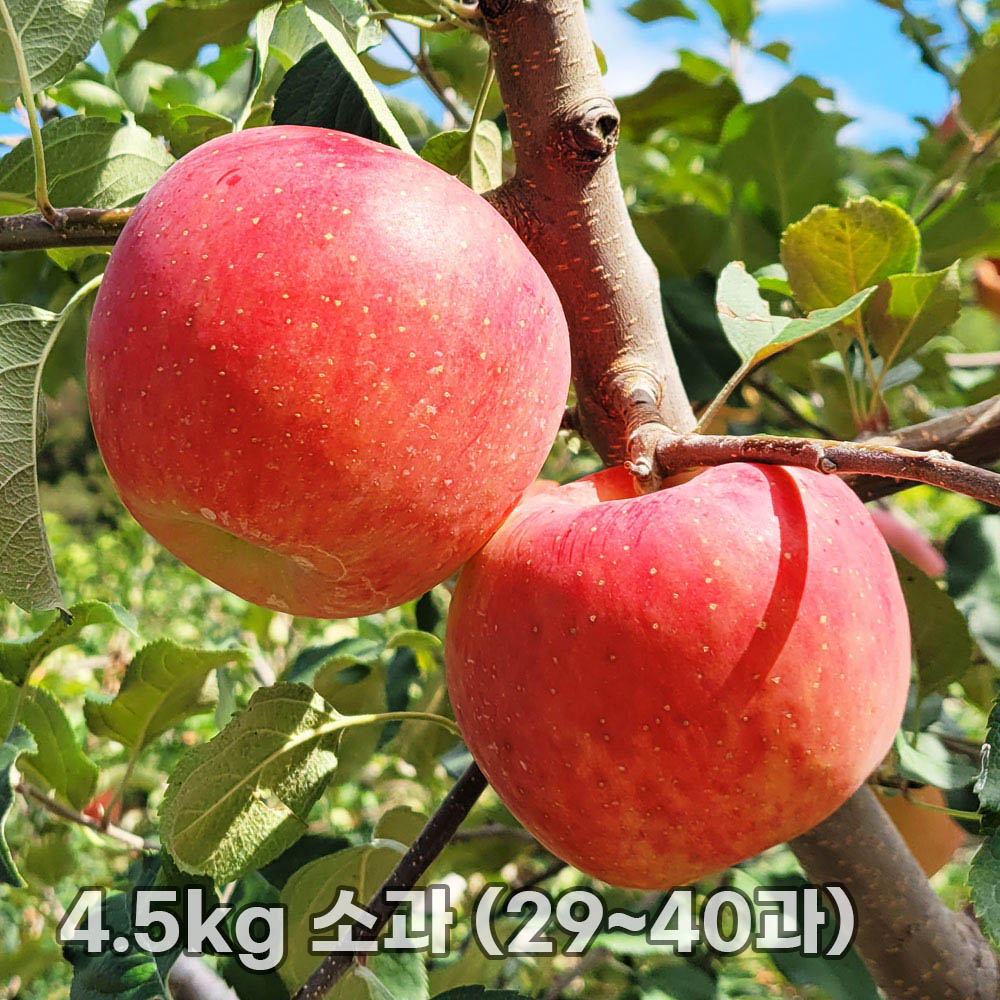 1763452450 thumbnail