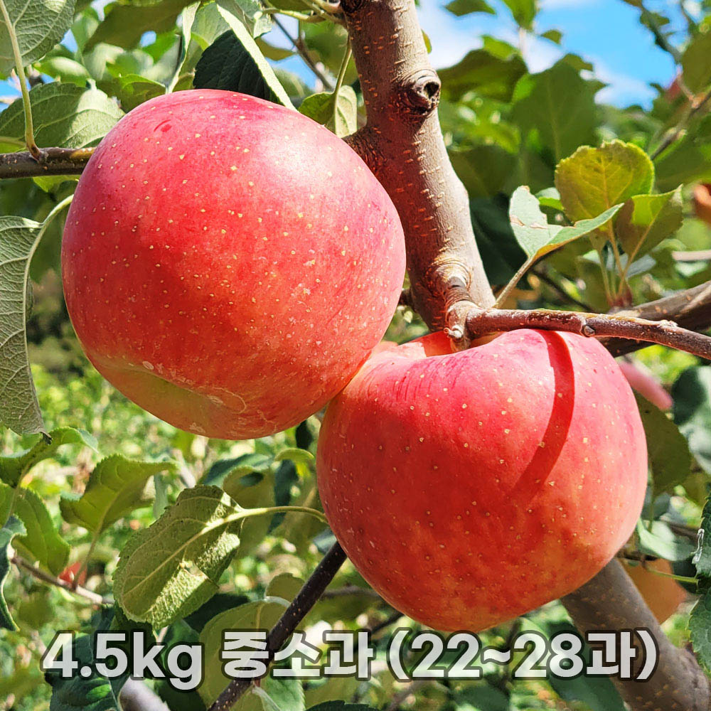 1763452451 thumbnail