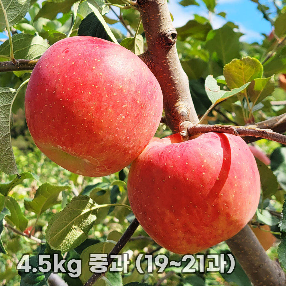 1763452452 thumbnail