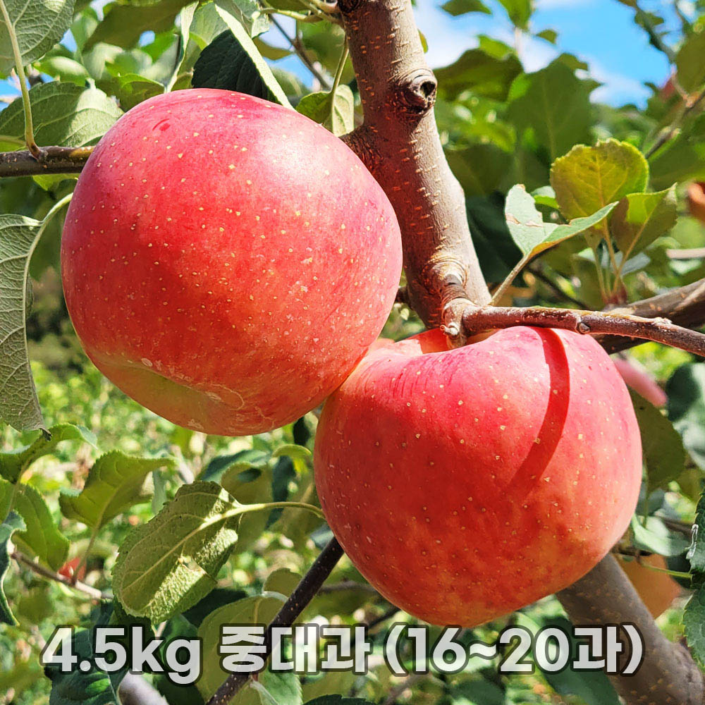 1763452453 thumbnail