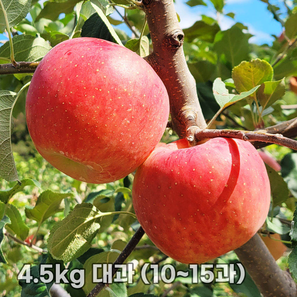 1763452454 thumbnail