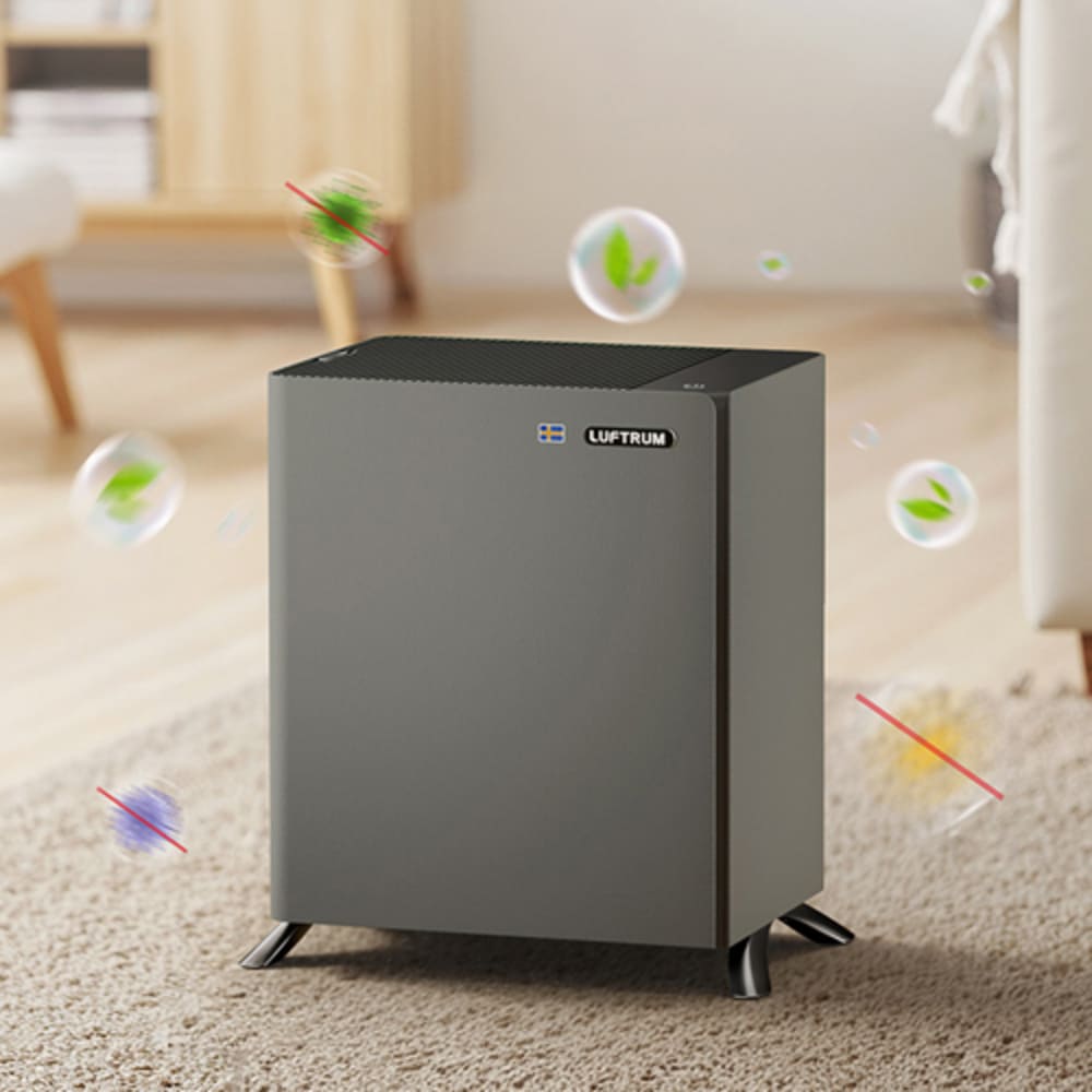 1763699524 thumbnail