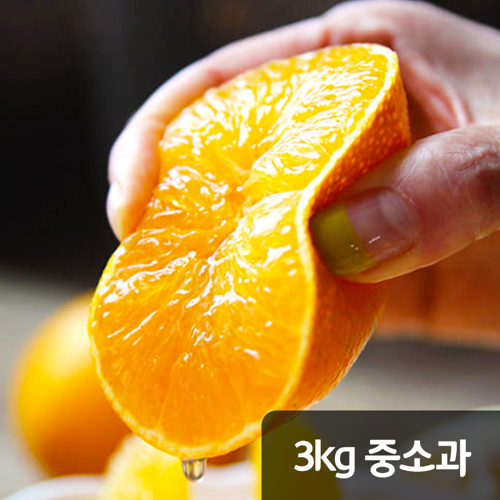 1764128988 thumbnail