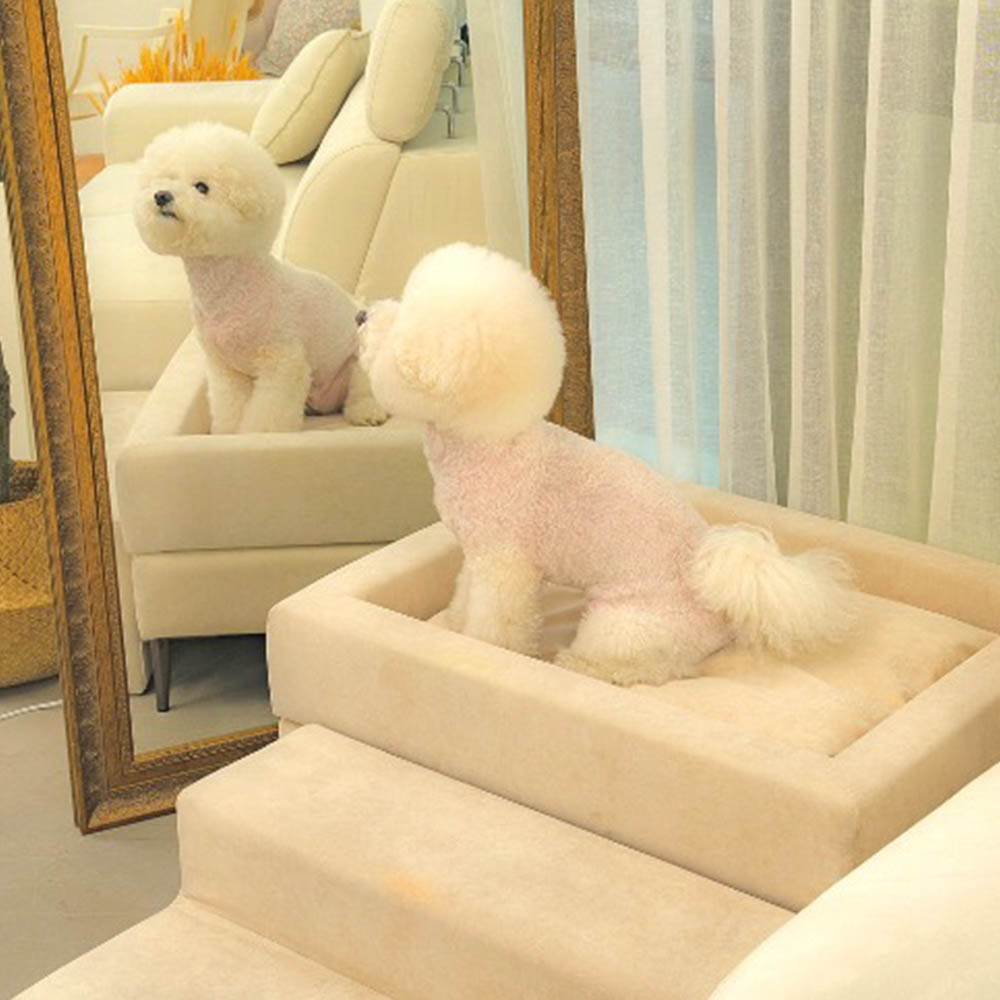 1764142413 thumbnail