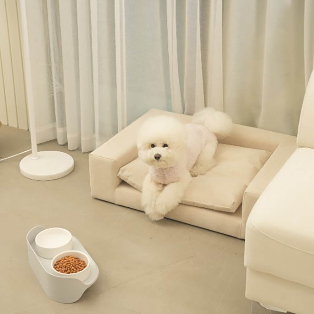 1764142415 thumbnail