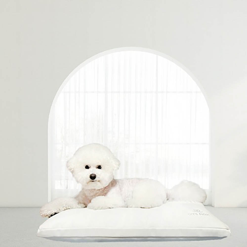 1764142416 thumbnail