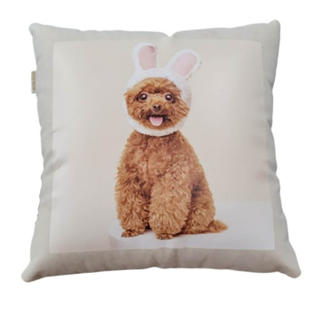 1764142421 thumbnail