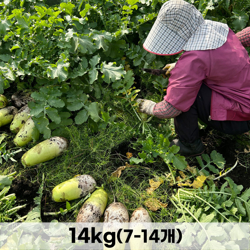 1764223490 thumbnail