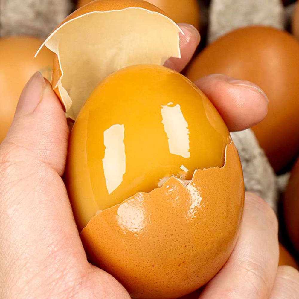 1764227991 thumbnail