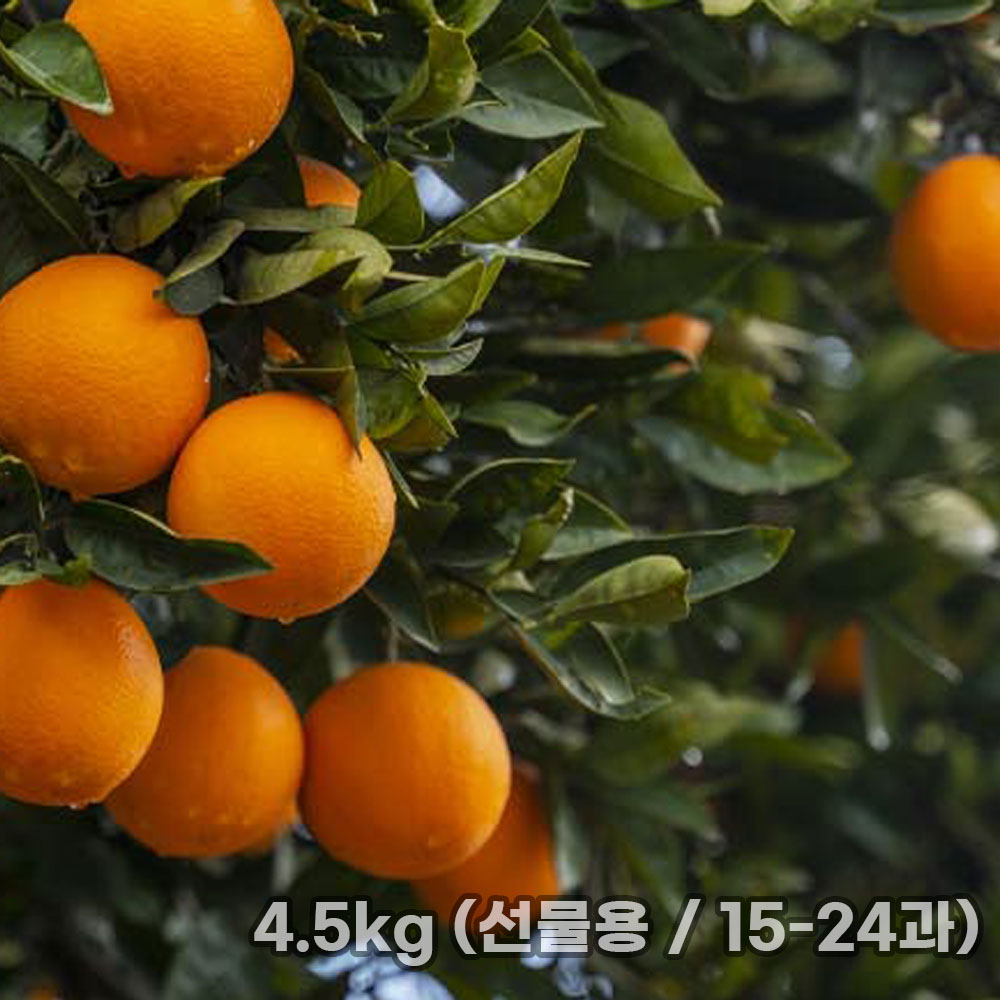 1764837319 thumbnail