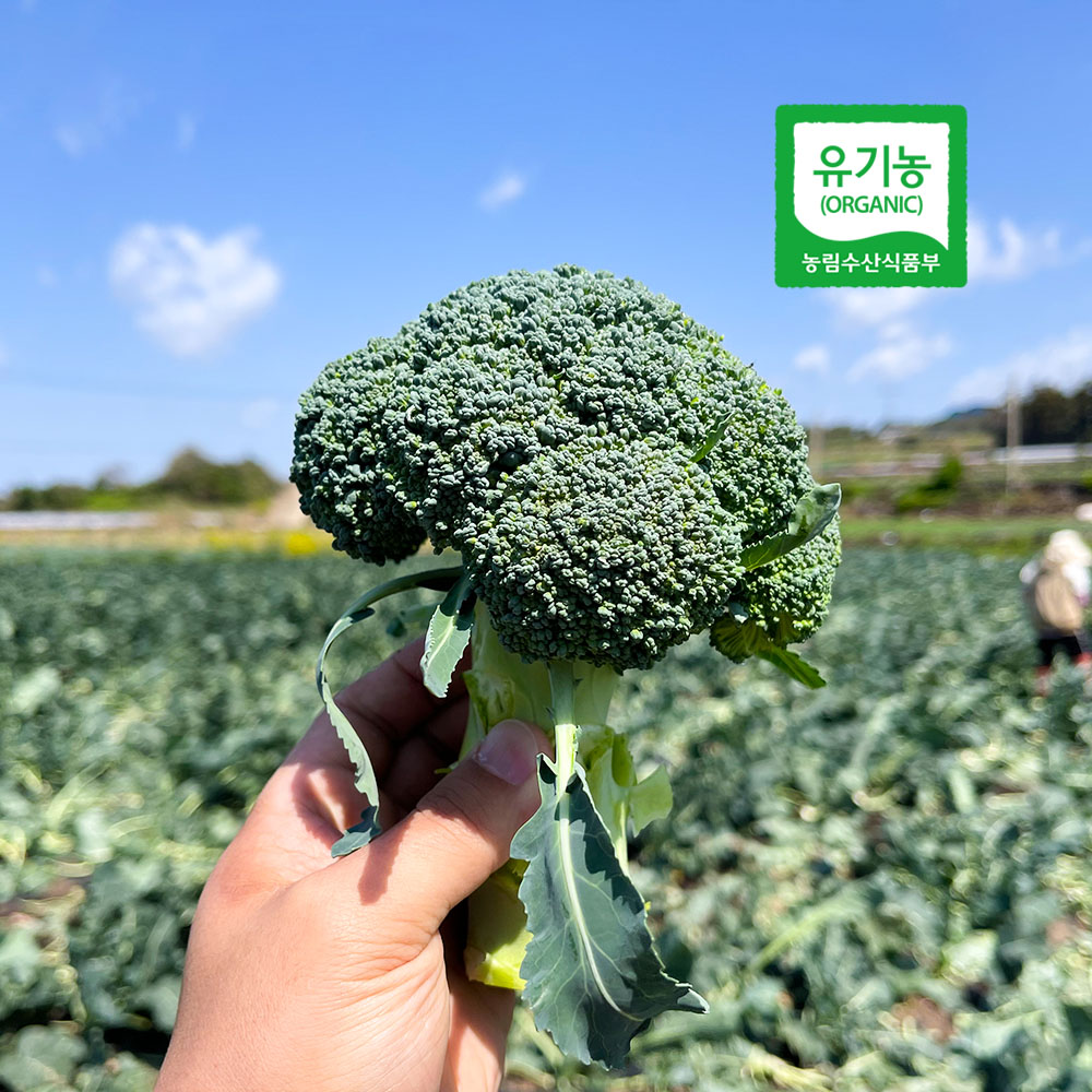 1764915577 thumbnail