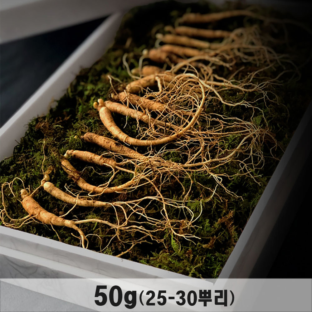 1764915587 thumbnail