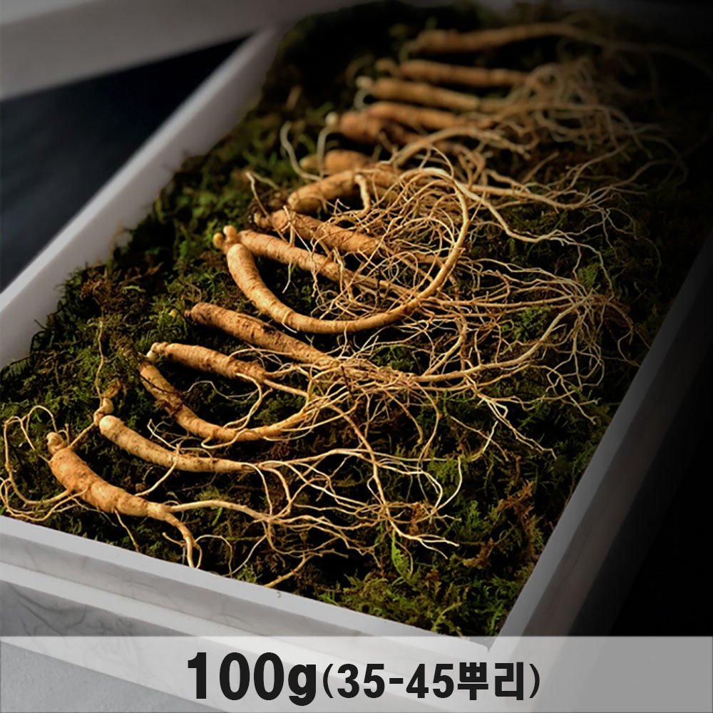 1764915588 thumbnail