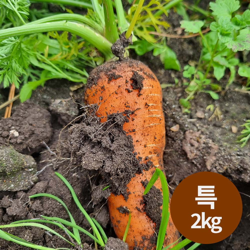 1765161567 thumbnail