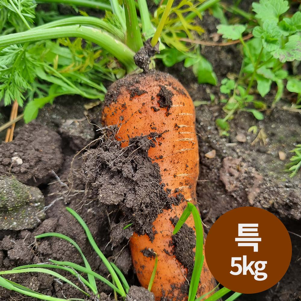 1765161568 thumbnail