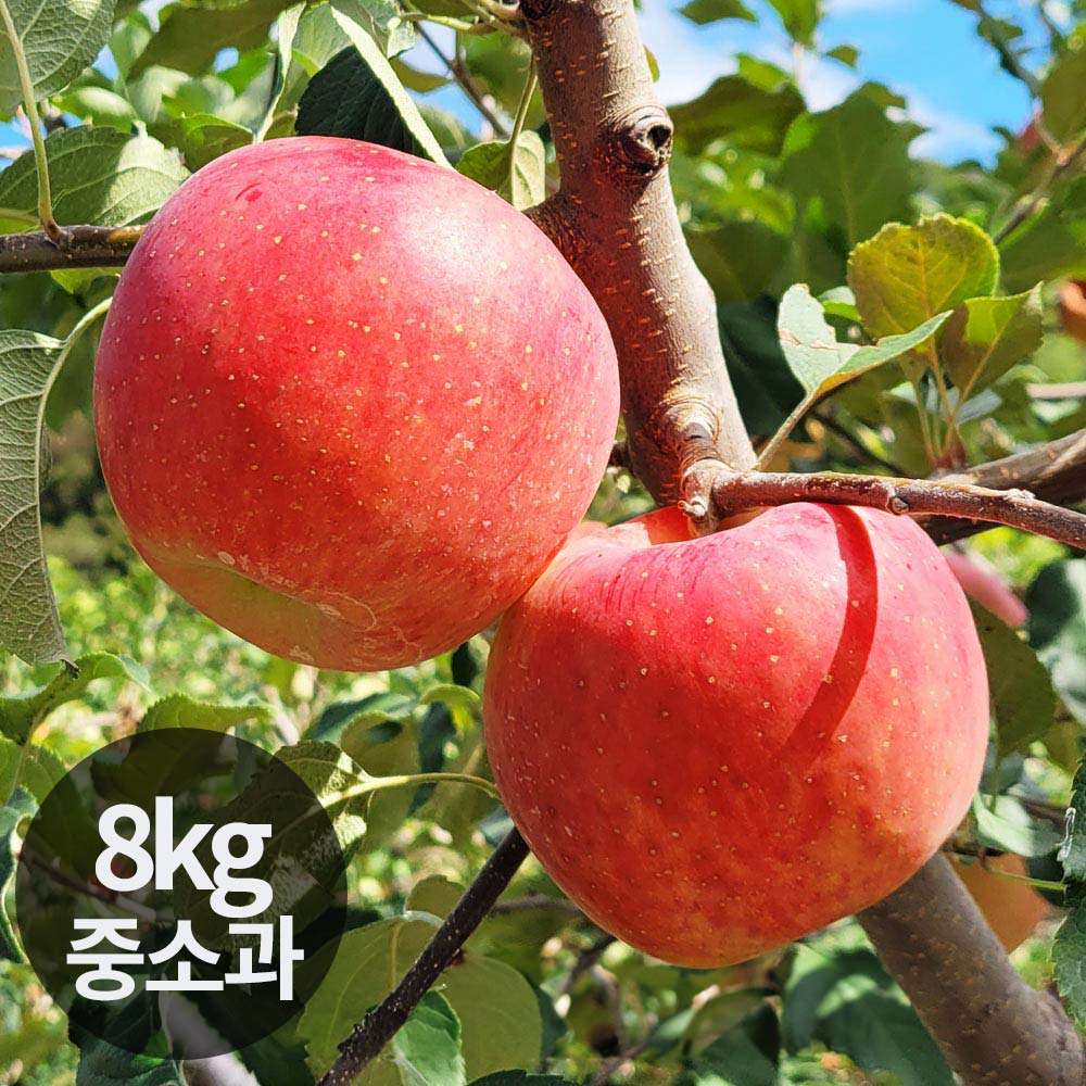 1765164163 thumbnail