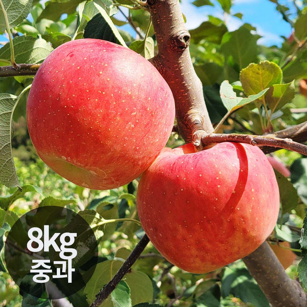 1765164164 thumbnail