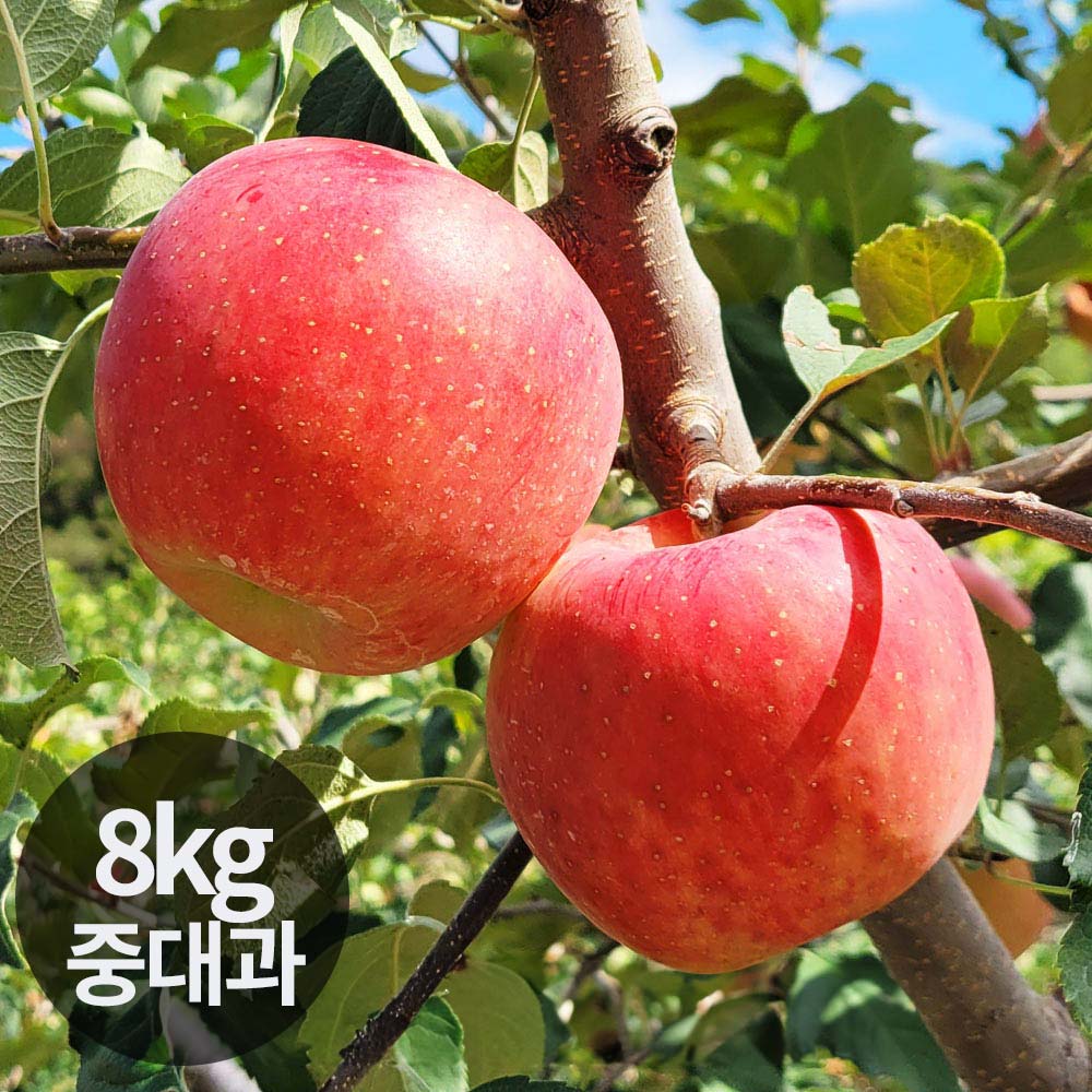 1765164165 thumbnail