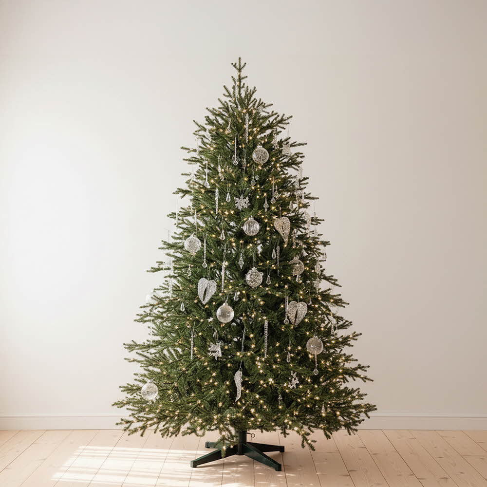 1765165972 thumbnail