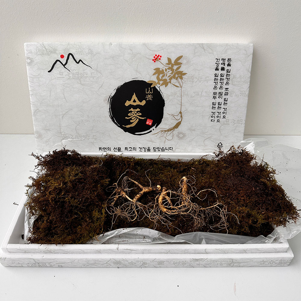 1765174997 thumbnail