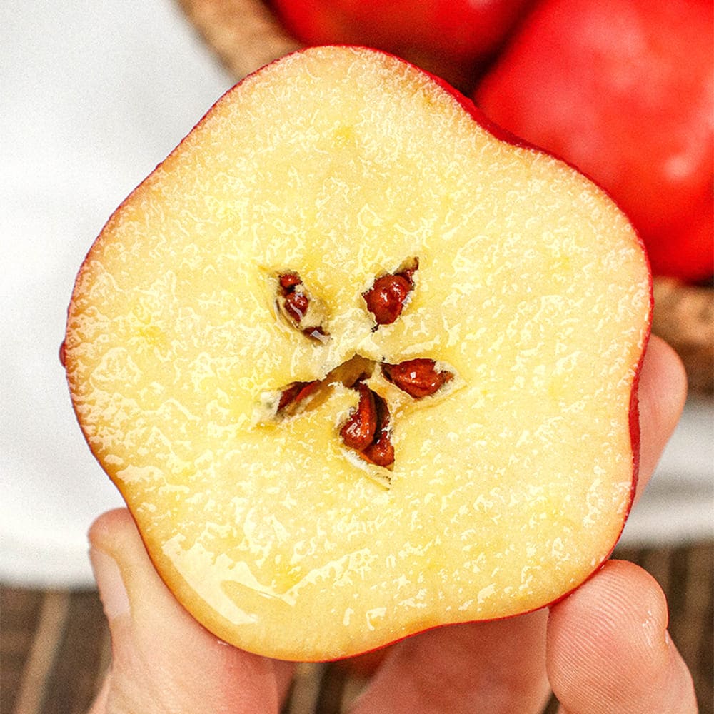 1765263053 thumbnail