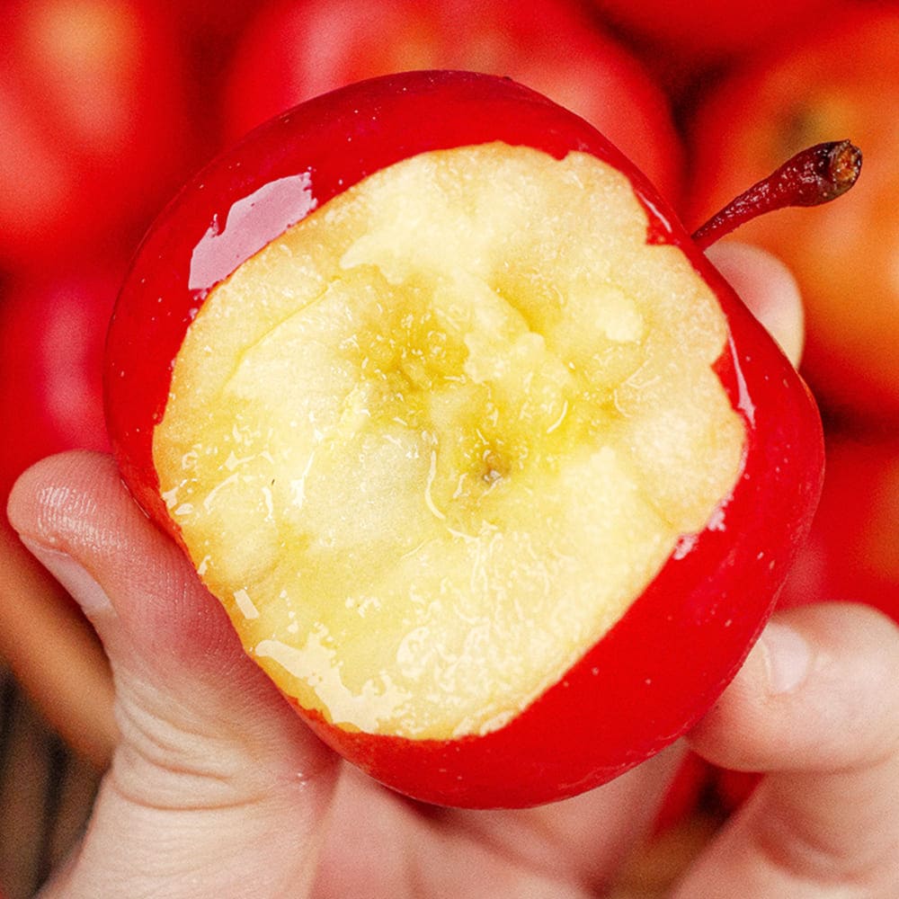 1765263054 thumbnail