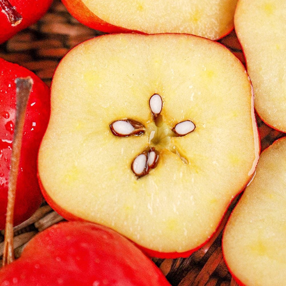 1765263056 thumbnail