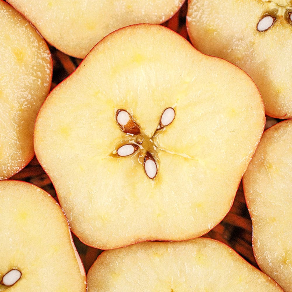 1765263057 thumbnail