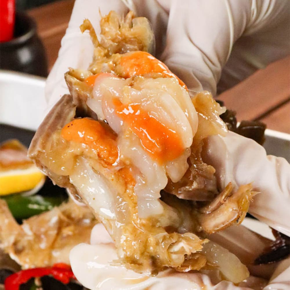 1765263089 thumbnail