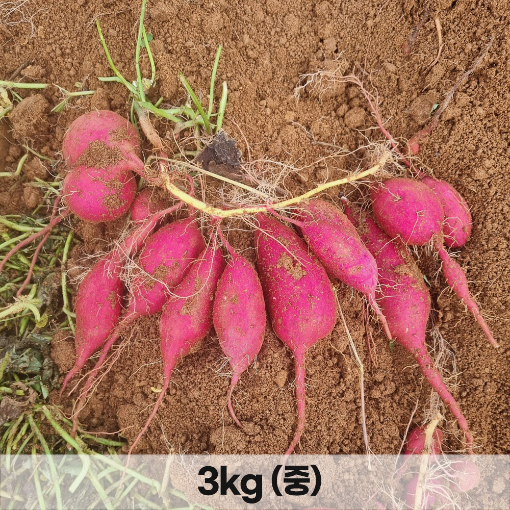 1765353554 thumbnail