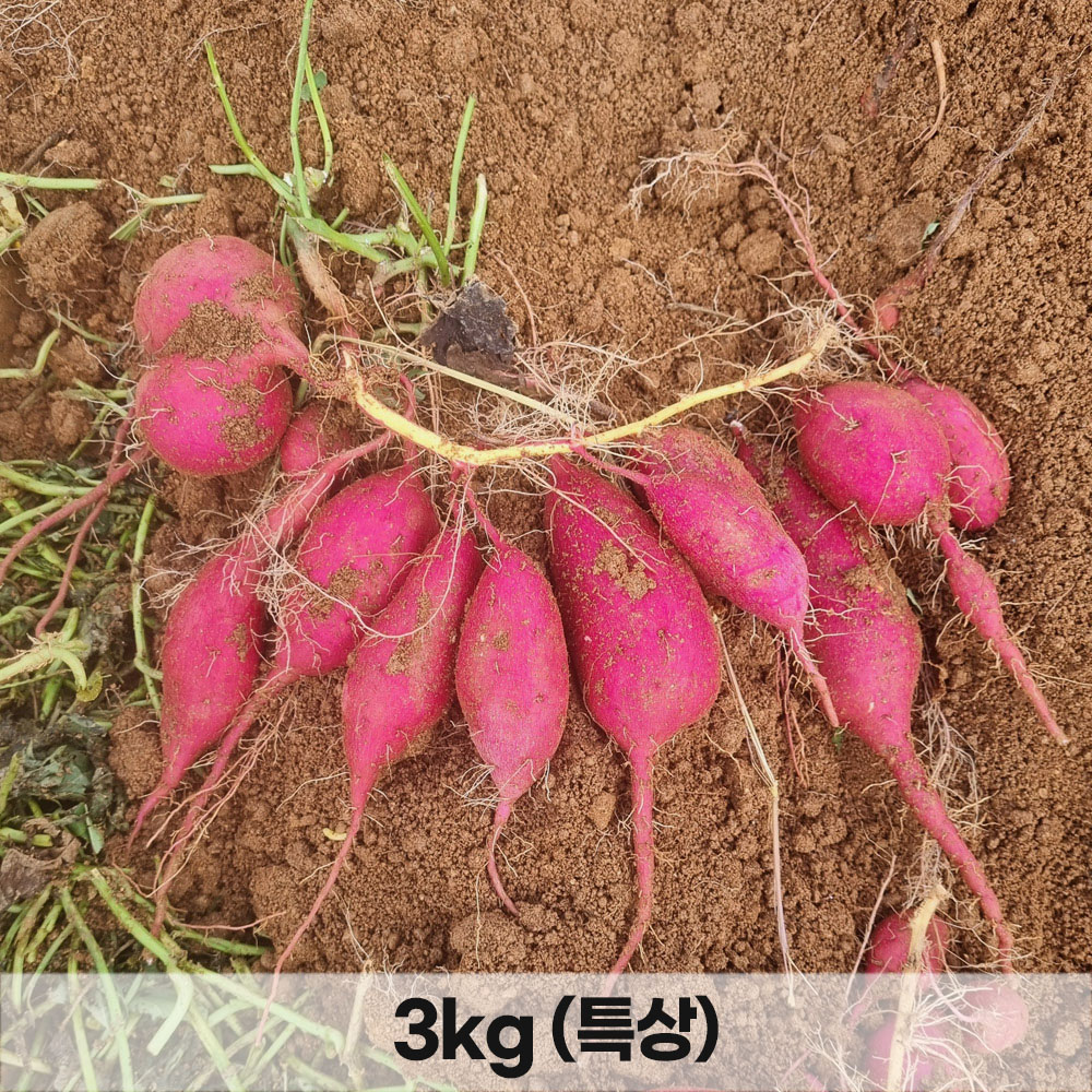 1765353560 thumbnail