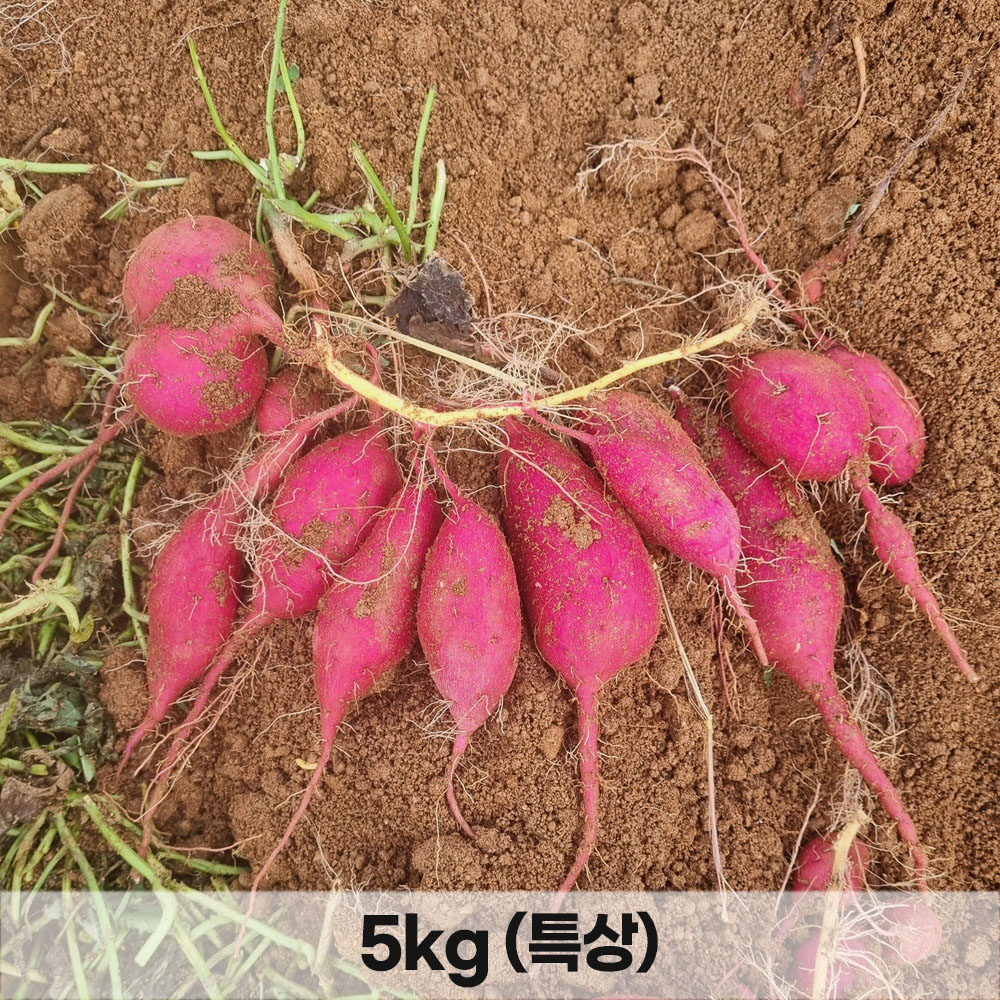 1765353561 thumbnail