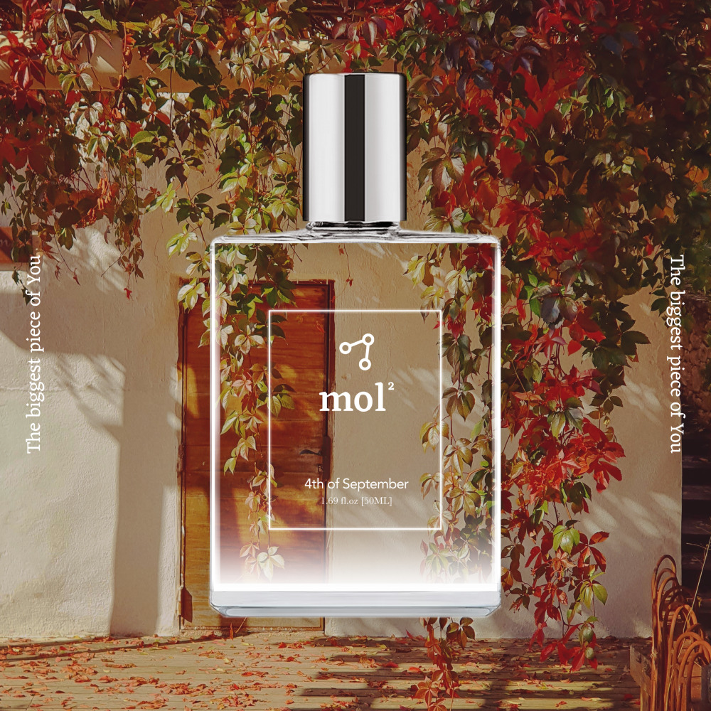 1765440407 thumbnail