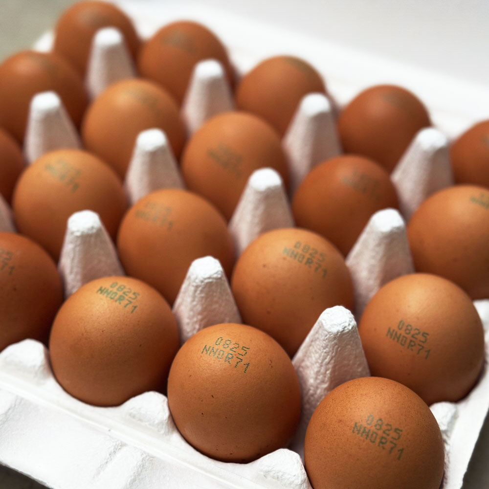 1765766121 thumbnail