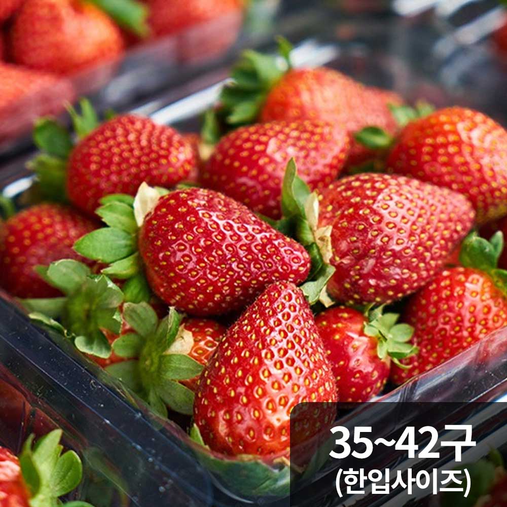 1765766137 thumbnail