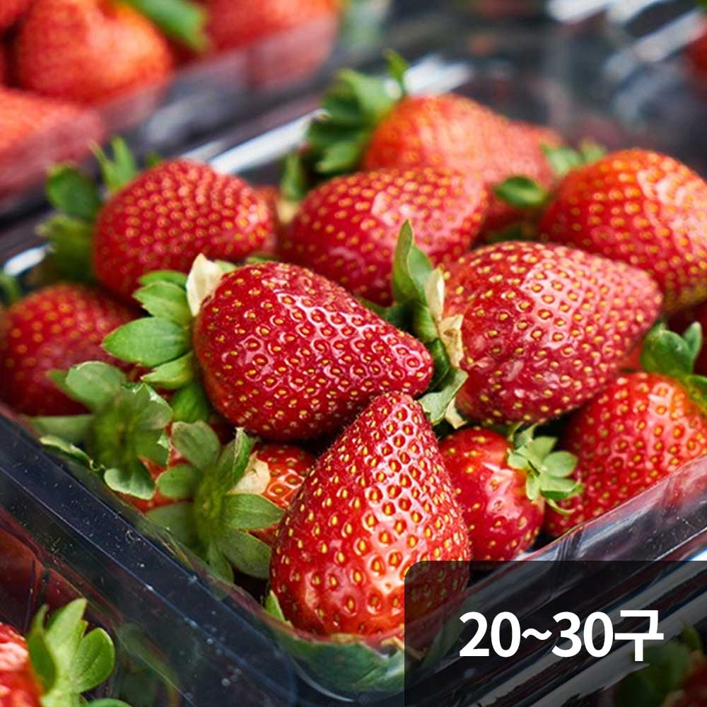 1765766138 thumbnail