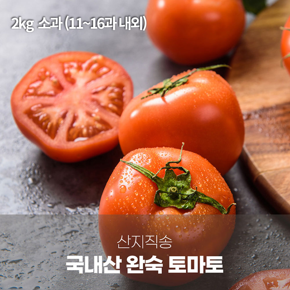 1765782055 thumbnail